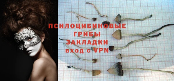 стаф Алексин