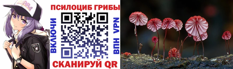 Галлюциногенные грибы Psilocybe Купить где Кремёнки